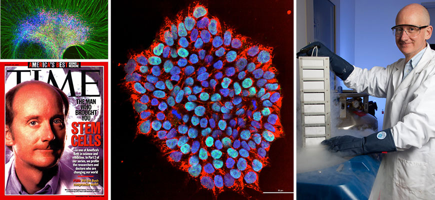 Collage of images of James Thomson and stem cells