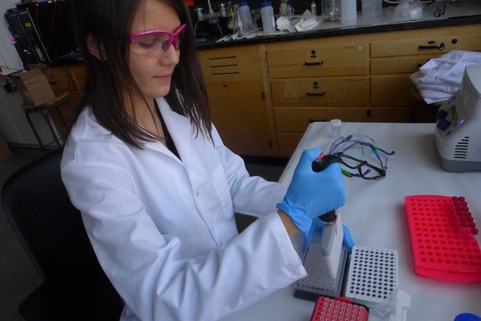 Scientist working with samples