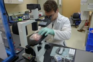 Person examining something under a microscope in a small lab