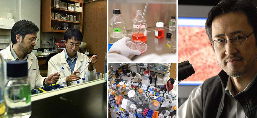 Collage of images of Yoshi Kawaoka working in a lab